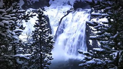 How Wolves Change Rivers