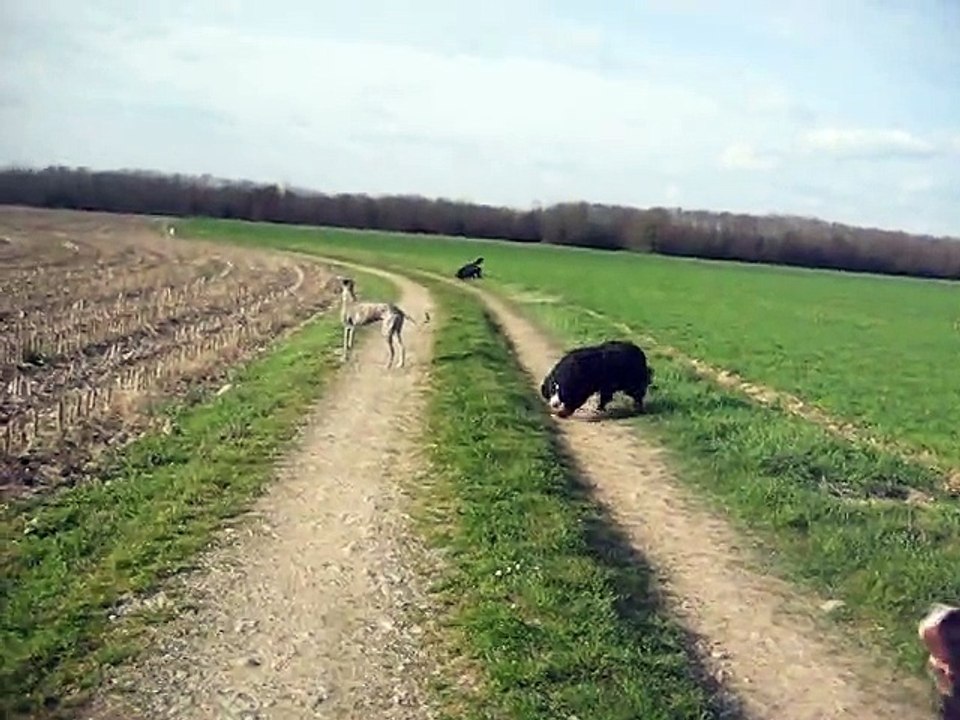Balade avec les filles