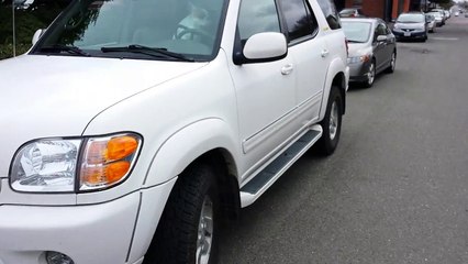 Un perro se cansa de esperar en el auto y toca la corneta a su dueño