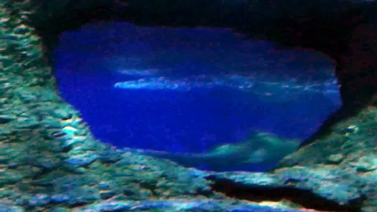 Underwater World Part 16
