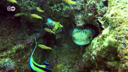 Spielplatz der Walkinder | Global Ideas