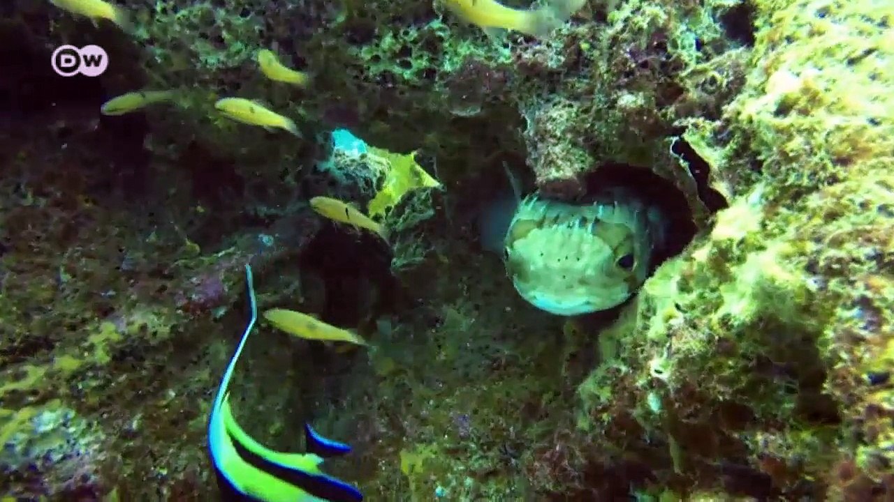 Spielplatz der Walkinder | Global Ideas