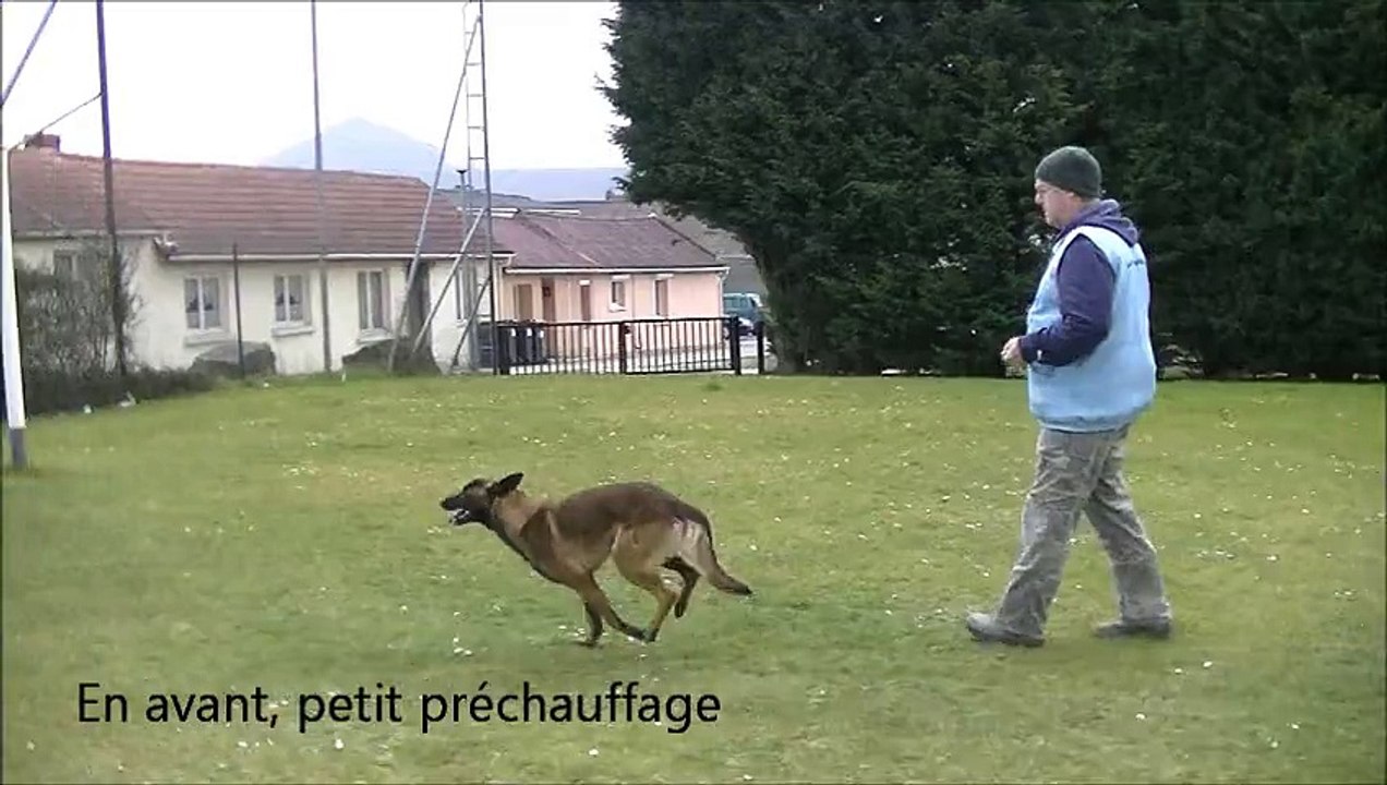 JET'7 du Banc des Hermelles - 14 mois, travail Ring au Clicker.