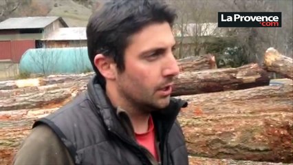 Crash A320 : un témoin a vu l'avion en difficulté