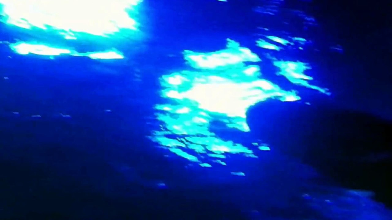 Underwater World Part 18