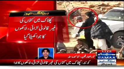 Tabdeeli Aagayi Hai – PTI Balochistan President Present At Illegal Dog Fight
