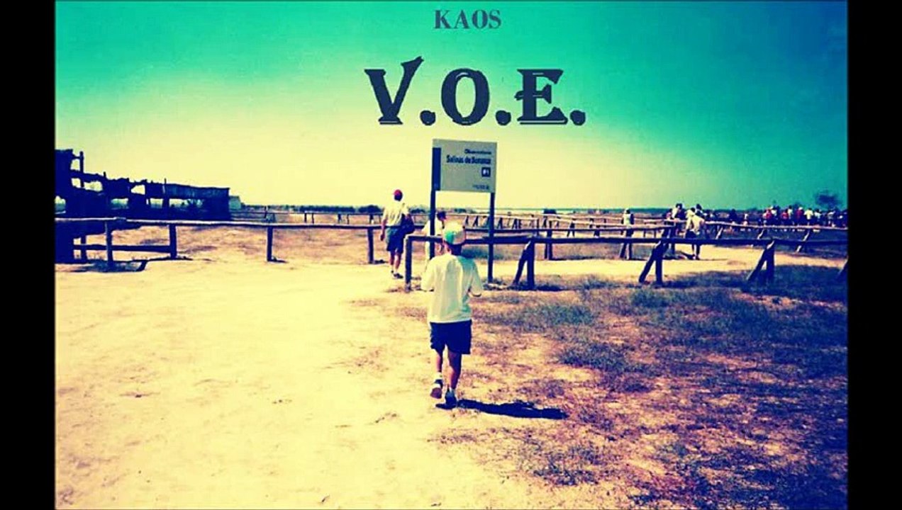 KAOS-V.O.E.(2014)