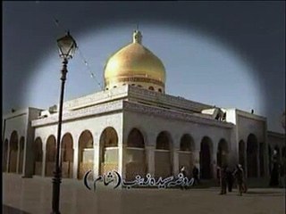 Ghazi (as) ki behan, Rizvia Party Album 8 (2008).