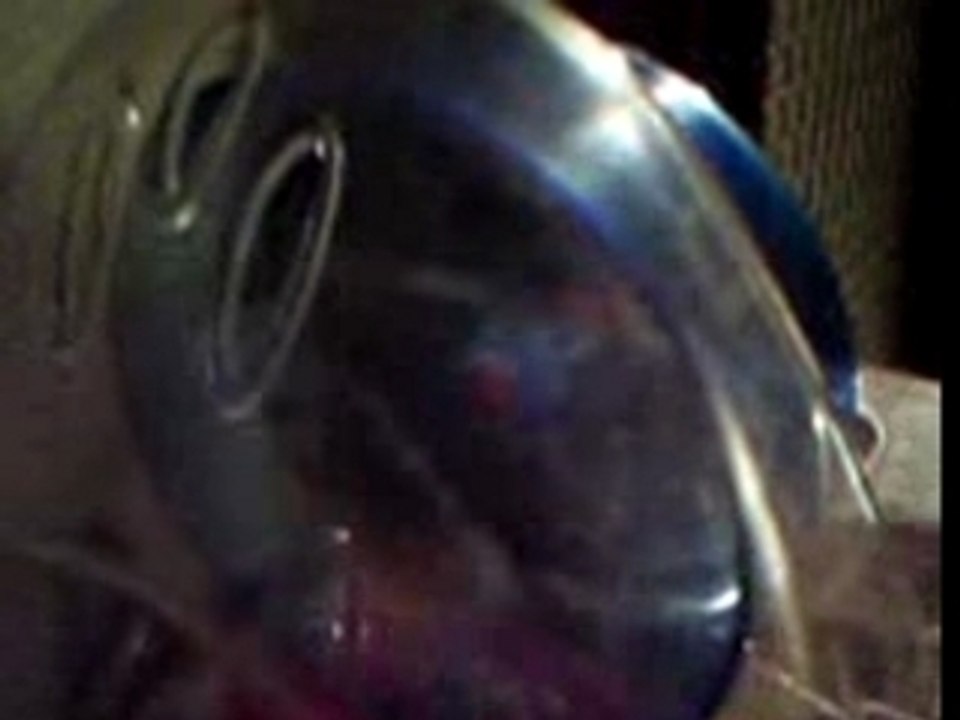 Hamster roue lumiere 2