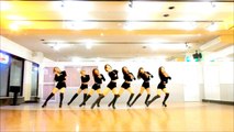 AOA - 사뿐사뿐(Like a Cat) (Japanese ver.) DANCE COPY by SOS