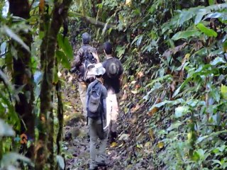 Viaje montaña adentro para ver un conteo muy particular