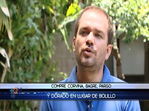 Consejos para no comprar pescados en peligro de extinción en Semana Santa