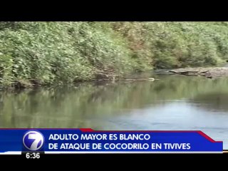 Hombre resultó herido tras ataque de cocodrilo en río Tivives