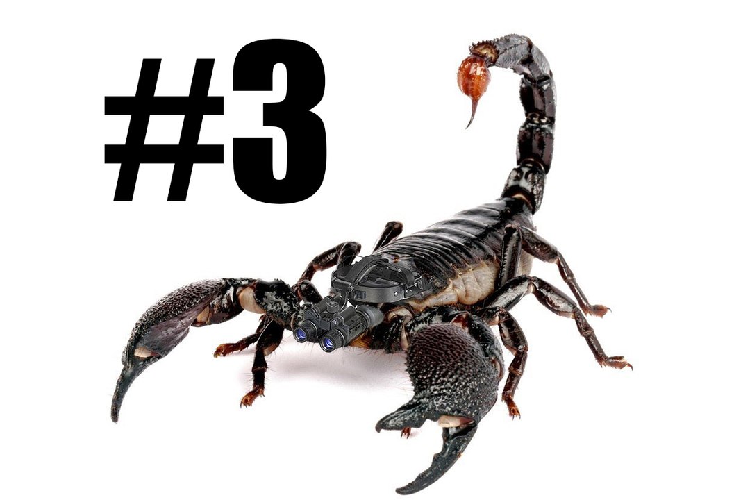Just Cause 2#3:Conociendo a los Cucarachas