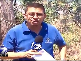 Autoridades continúan trabajando en apagar incendio forestal en Palo Verde