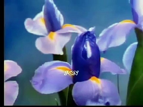 Rab Sach Much Osdi Sunda hai - SALAMTI TV