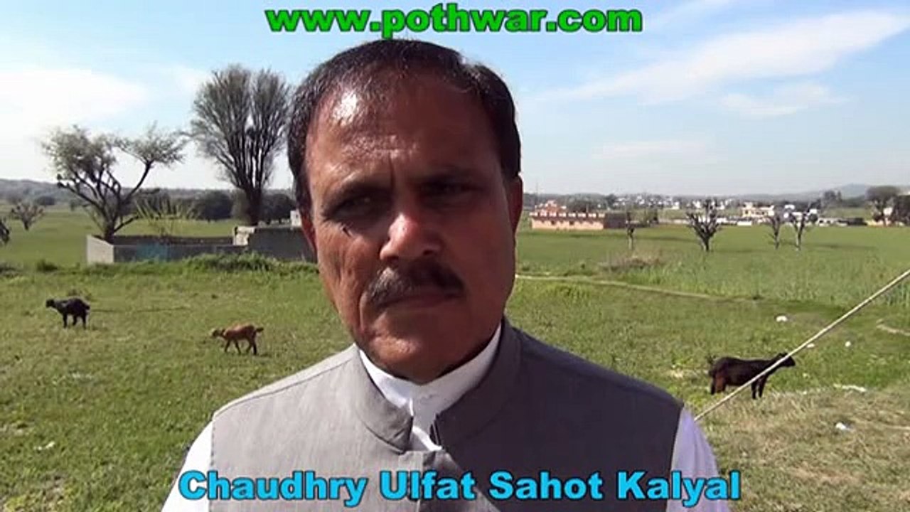 Ch Javed Kausar