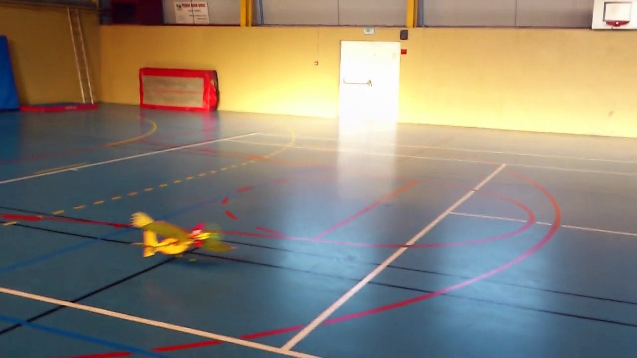 20120212 Le petit oiseau de David