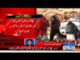 Tabdeeli Aagayi Hai – PTI Balochistan President Present At Illegal Dog Fight