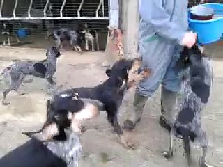 video-2015-03-17-17-55-33