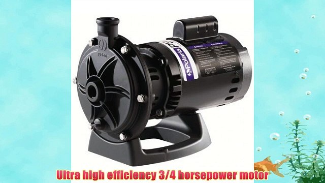 Zodiac PB4-60 Polaris Booster Pump with 60-Hertz Motor