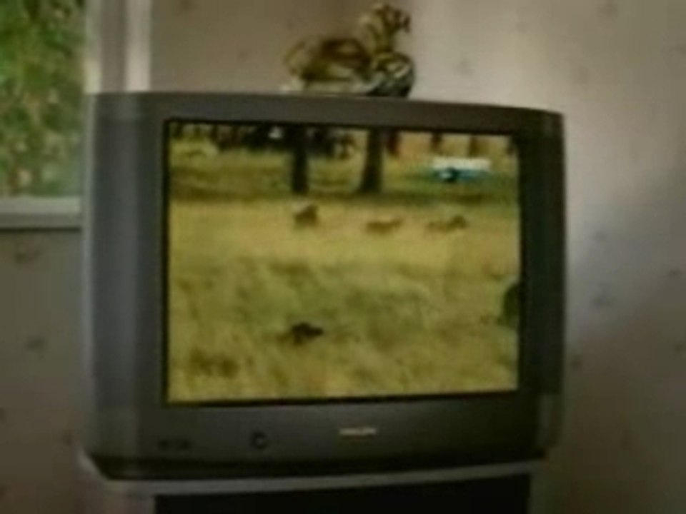 Pub Sky tv Lion-Lionne