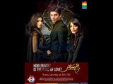 Wo Humsafar Tha - Humsafar Drama - Hum TV - Full Song