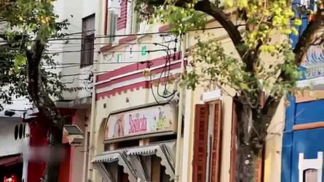 Torcidas Organizadas Brasil na torcida do Palmeiras