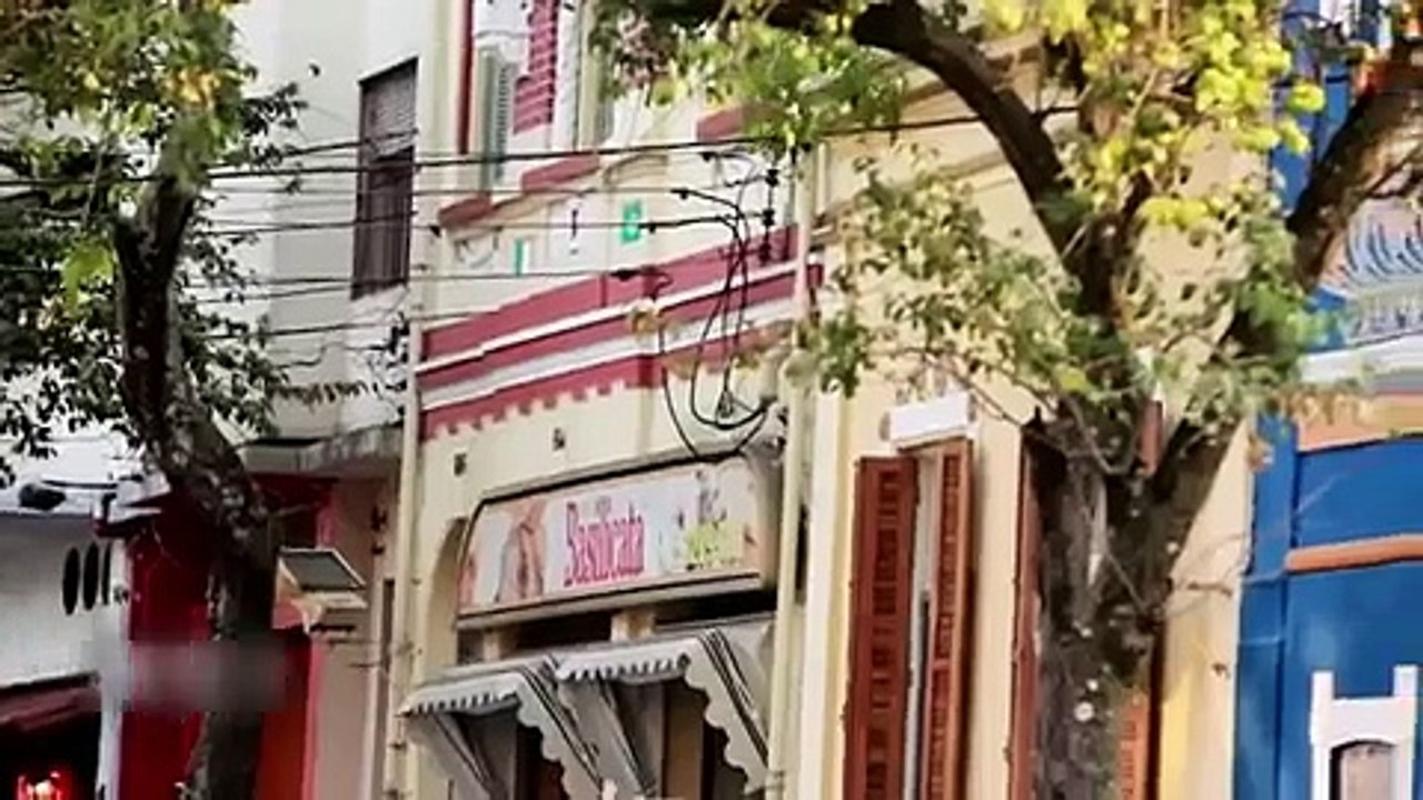 Torcidas Organizadas Brasil na torcida do Palmeiras