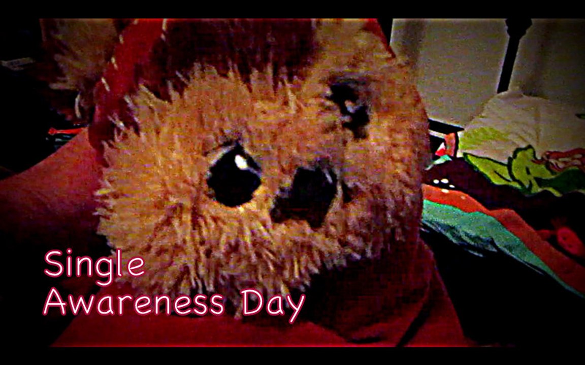 Single Awareness Day- Ozcar's Mdrn Life