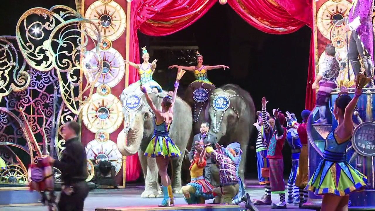 Ringling elephants say goodbye to the circus