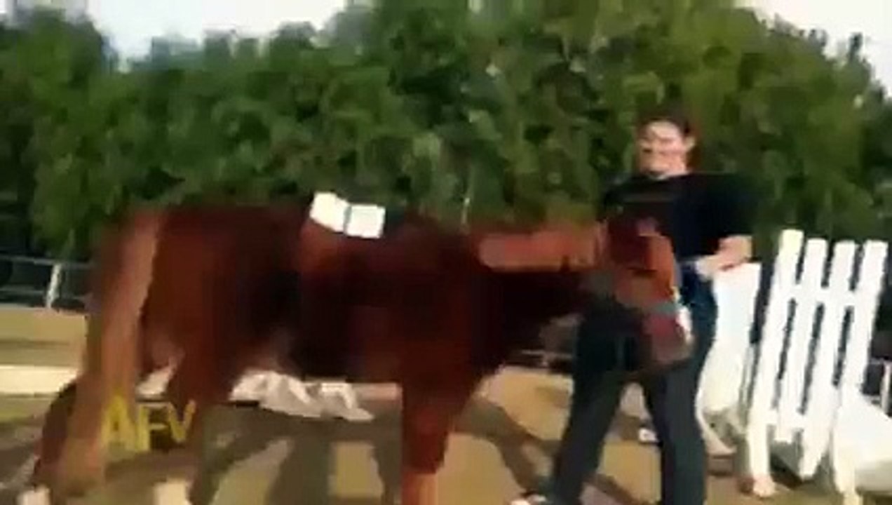 Şok Olay At Kıza bindi