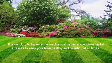 Guide To Lawn Care In Loveland OH