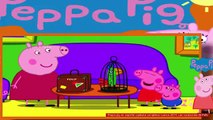 Peppa pig en español capitulos completos nuevos 2014: Las vacaciones de Polly