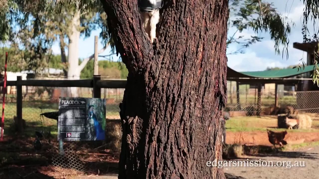Happiest Video EVER!