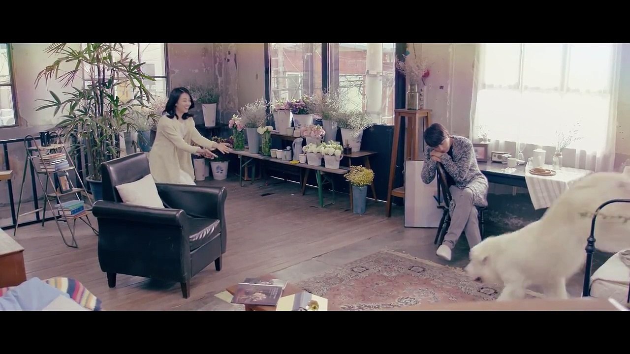 [MV] K.will(케이윌) _ Growing(꽃이 핀다)