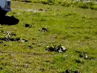 Cours de pilotage de 4L dans la Patûre