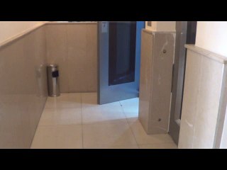 EVLERINIZDE CANI SIKILAN OYUNCAKLARI DEĞERLENDİRME VAKTİ