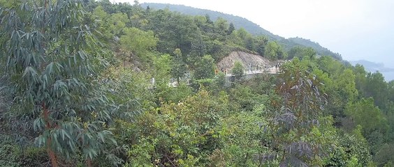 The hundred-kilometer walk hikers -- Blackview DV800B