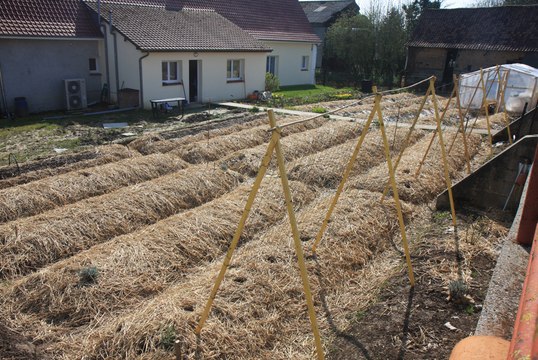 [Permaterre] Potager en permaculture [2] Avril 2014
