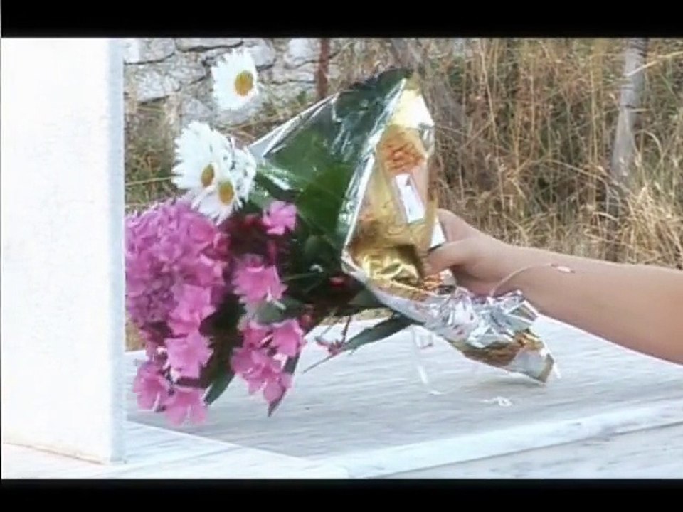 1 nje zemer ne 2 pjesë