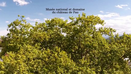 Vidéo promotionnelle du Château de Pau
