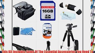 16GB Accessory Kit For Panasonic HDC-TM41 HD Camcorder Includes 16GB High Speed SD Memory Card