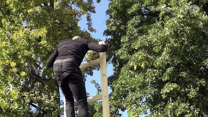 Lynsey Peisinger: In the Field. Performance at Fondation Beyeler