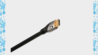 Monster Platinum Ultra High Speed HDMI Cable with Ethernet - 4 Ft.