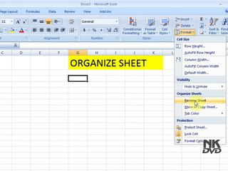 Lesson # 25 The Organize Sheet (Microsoft Office Excel 2007 Tutorial)