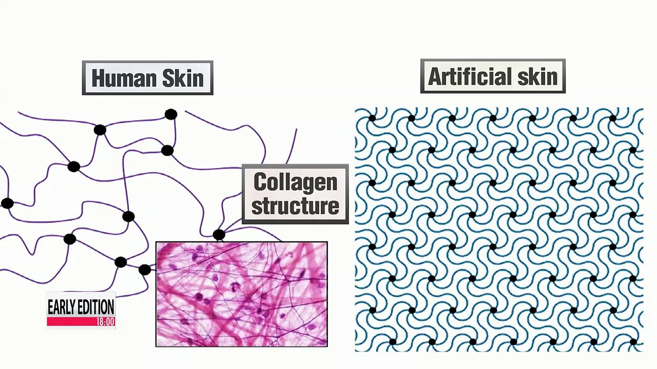 Korean-American scientist develops smart skin