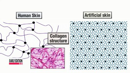 Download Video: Korean-American scientist develops smart skin