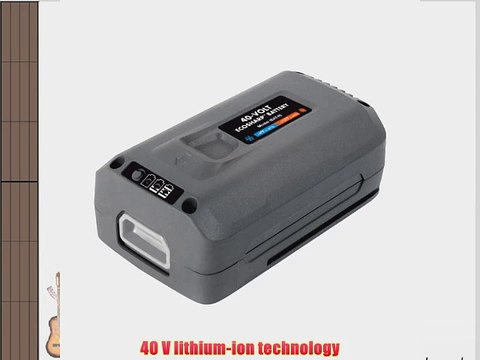 Snow Joe iBAT40 4 Amp Eco Sharp Lithium-Ion Battery 40-volt
