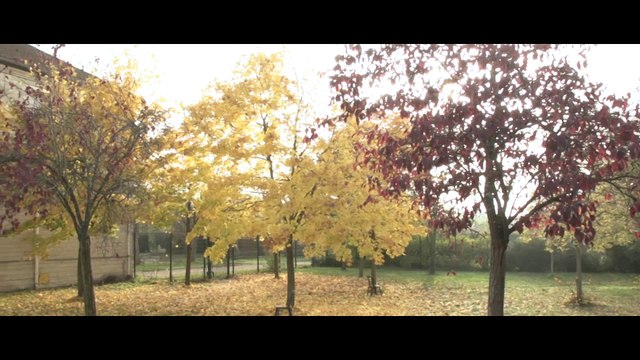 Présentation du Centre Hospitalier Théophile Roussel